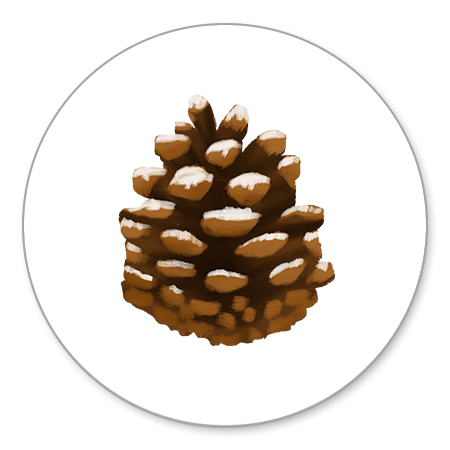 Sluitzegel dennenappel